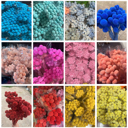 colors