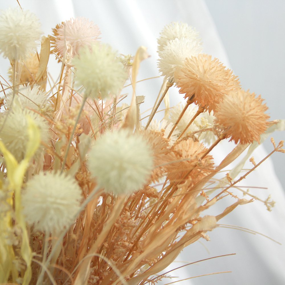 Hot Sale Beautiful Dried Flowers Colorful Chrysanthemum Helichrysum Strawflower For Decoration