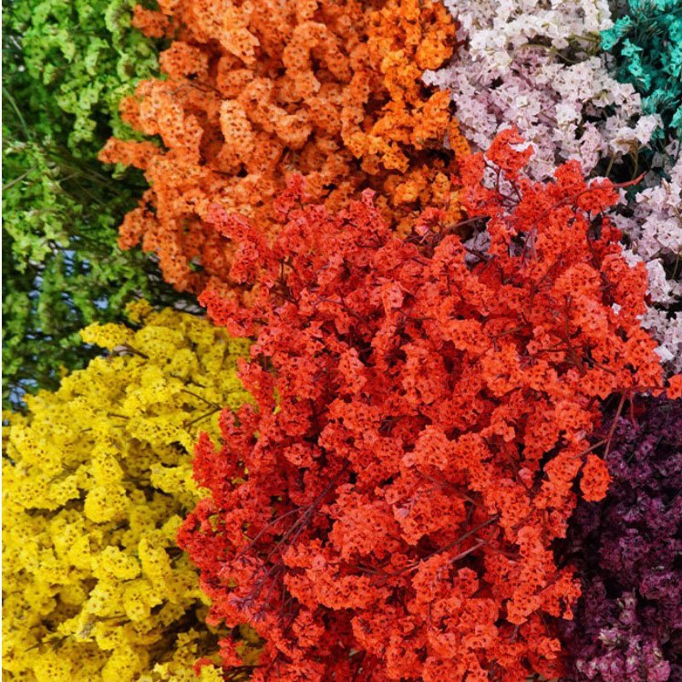 Preserved Dried Crystal Grass Crystal Lover Grass German Statice Limonium Flowers Sea Lavender Flower Bouquet Caspea Flower