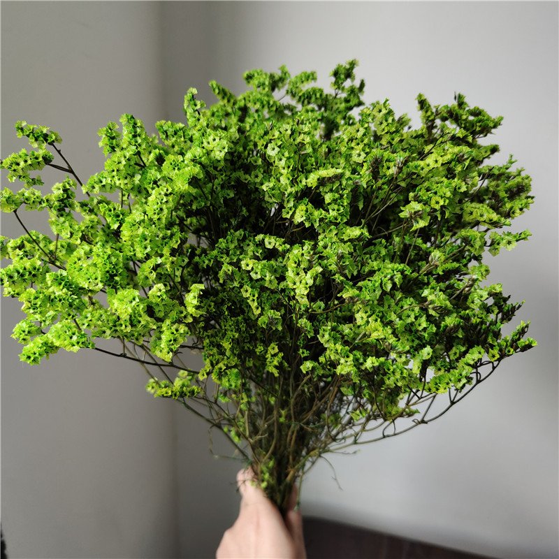Preserved Dried Crystal Grass Crystal Lover Grass German Statice Limonium Flowers Sea Lavender Flower Bouquet Caspea Flower