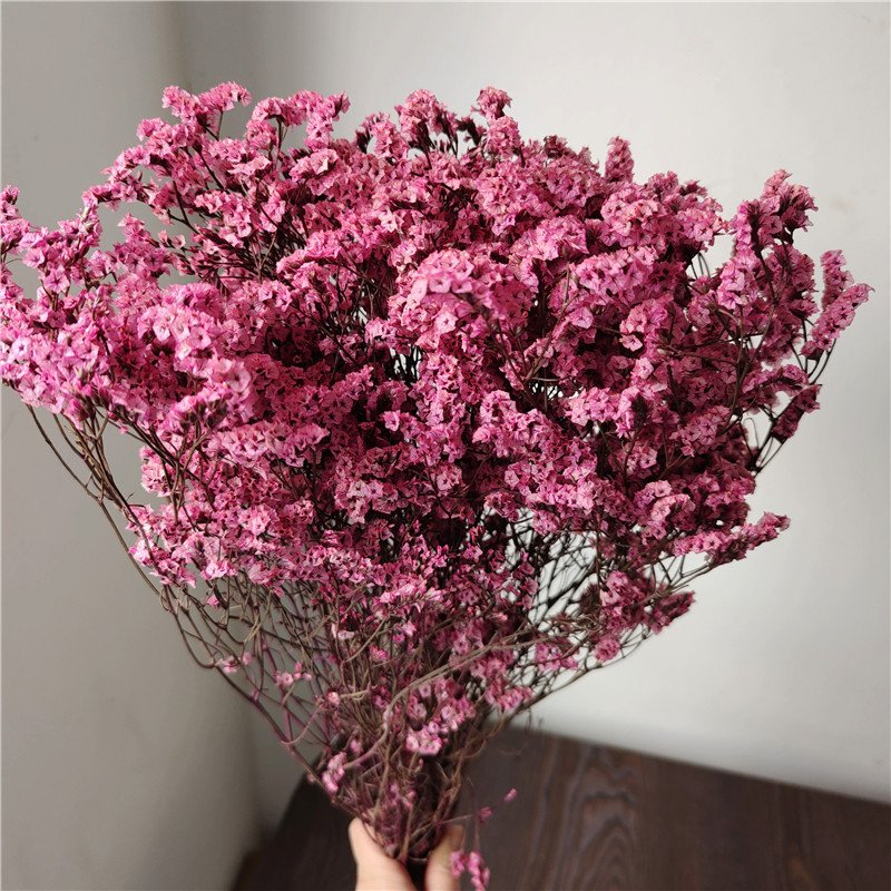Preserved Dried Crystal Grass Crystal Lover Grass German Statice Limonium Flowers Sea Lavender Flower Bouquet Caspea Flower
