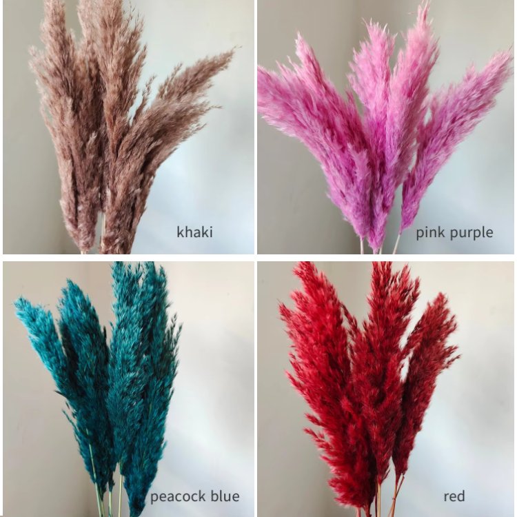 Dried Pampas Grass Reed Flowers 10 Stems per Bundle for Home Christmas Arrangements Weddings Photographic Decorations