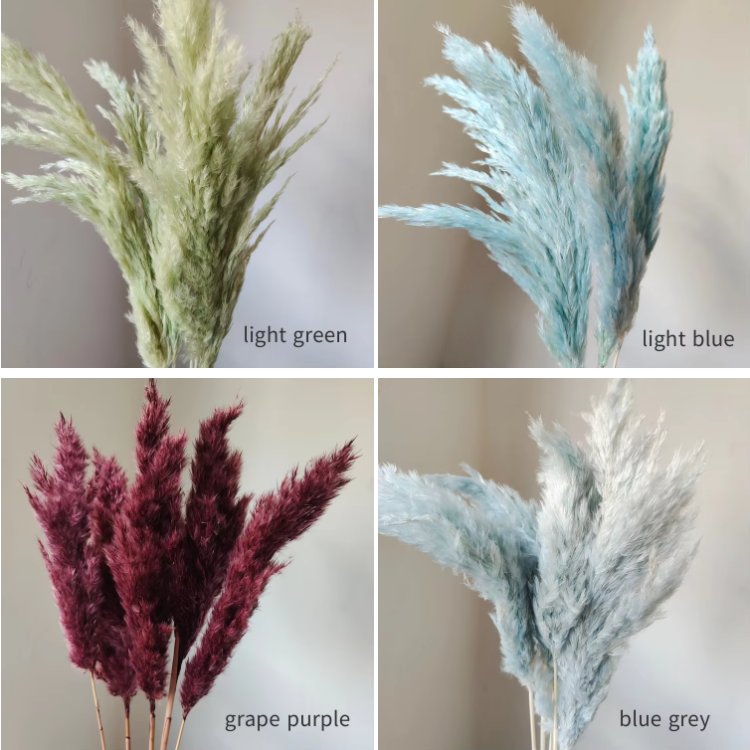 Dried Pampas Grass Reed Flowers 10 Stems per Bundle for Home Christmas Arrangements Weddings Photographic Decorations