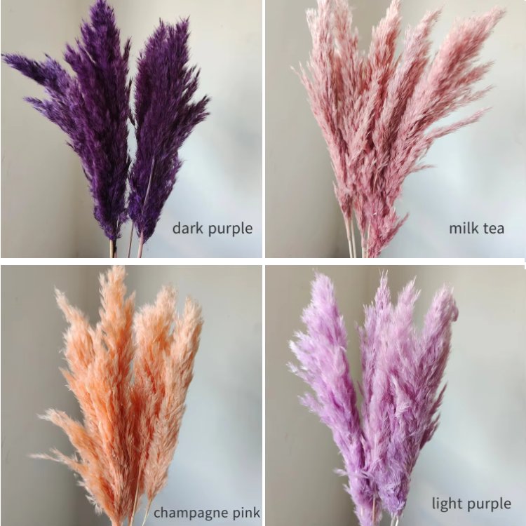 Dried Pampas Grass Reed Flowers 10 Stems per Bundle for Home Christmas Arrangements Weddings Photographic Decorations