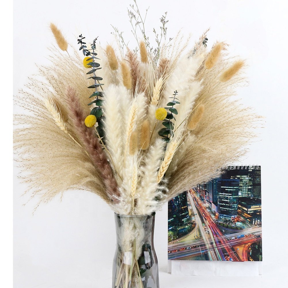 Pampas Grass Bouquet Plastic Bag Mother's Day Easter Decoration Easter Decor Top Sell Natural Dried Flowers 45cm White