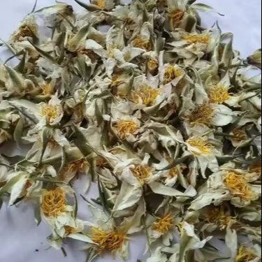 Water Lilly Dried/ Nymphaea Nouchali/Nilofar