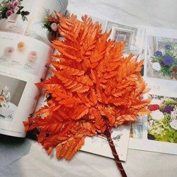Orangered