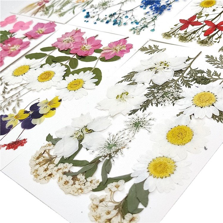 Dried Pressed Flowers for Resin, Real Pressed Flowers Dry Leaves Bulk Natural Herbs Kit for Scrapbooking DIY Art Crafts,