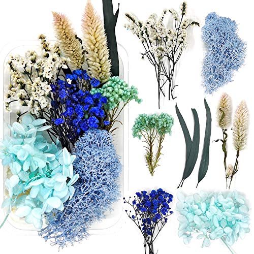 Random Diy Flowers Craft Decor Eternal Flower Material Box Mixed Color Preserved Dry Plants Dried Flowers