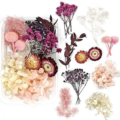 Random Diy Flowers Craft Decor Eternal Flower Material Box Mixed Color Preserved Dry Plants Dried Flowers