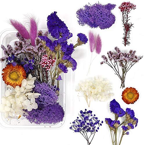 Random Diy Flowers Craft Decor Eternal Flower Material Box Mixed Color Preserved Dry Plants Dried Flowers