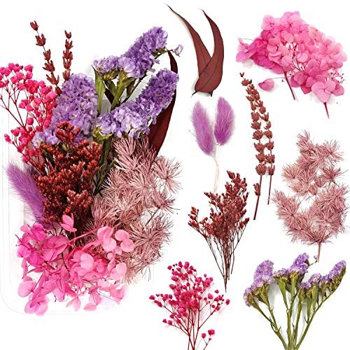 Random Diy Flowers Craft Decor Eternal Flower Material Box Mixed Color Preserved Dry Plants Dried Flowers