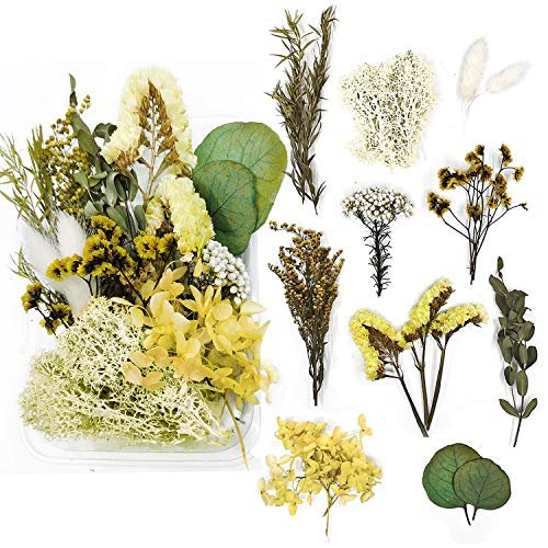 Random Diy Flowers Craft Decor Eternal Flower Material Box Mixed Color Preserved Dry Plants Dried Flowers