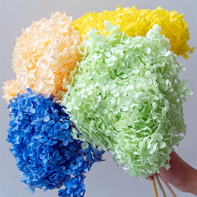 Everylove Preserved Hydrangea 25-30cm White Real Preserved Hydrangea Flowers With Stems For Wedding Home Party