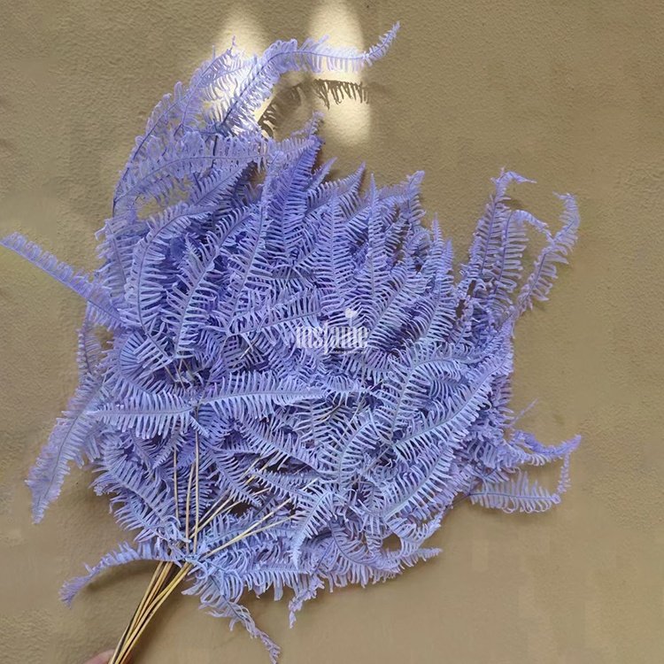 MSFAME Natural Preserved Flowers Arrangement Fern High Quality Hanging Greenery Dried Flowers