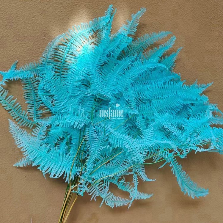 MSFAME Natural Preserved Flowers Arrangement Fern High Quality Hanging Greenery Dried Flowers