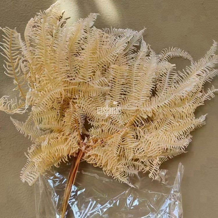 MSFAME Natural Preserved Flowers Arrangement Fern High Quality Hanging Greenery Dried Flowers