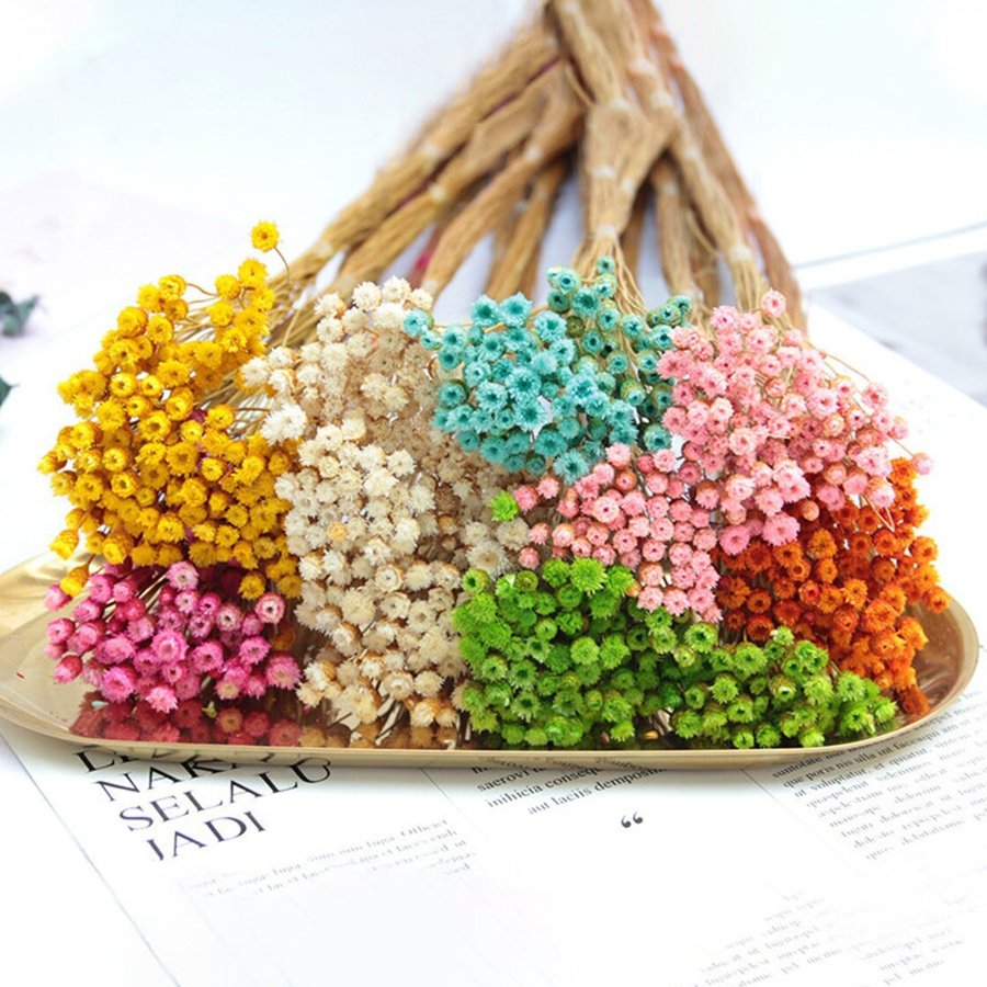 Wholesale 30 Stems Home Interior Mini Bunch Bouquet Dried Flowers Natural Glixiajazilda Stems Happy Flower
