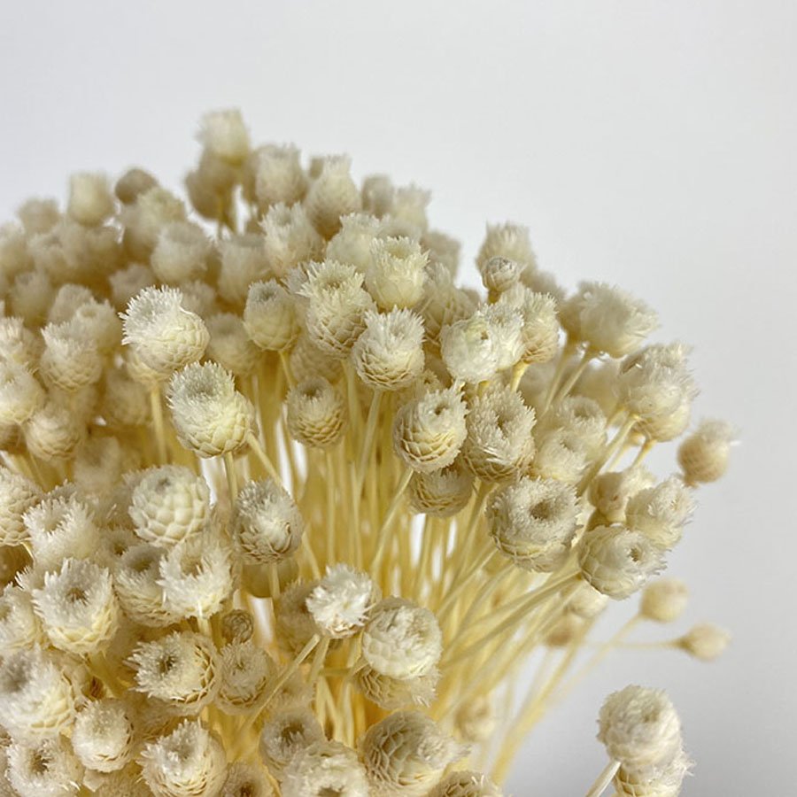 Wholesale 30 Stems Home Interior Mini Bunch Bouquet Dried Flowers Natural Glixiajazilda Stems Happy Flower