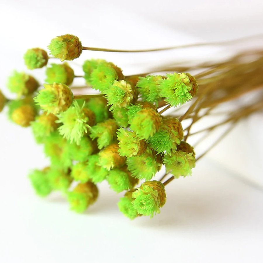 Wholesale 30 Stems Home Interior Mini Bunch Bouquet Dried Flowers Natural Glixiajazilda Stems Happy Flower