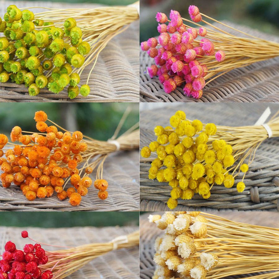 Wholesale 30 Stems Home Interior Mini Bunch Bouquet Dried Flowers Natural Glixiajazilda Stems Happy Flower