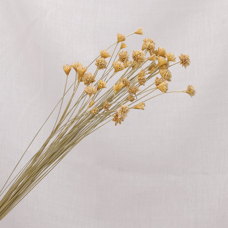 25 piece small wild dried flowers bouquet simple art Ins style decorative flowers home decoration flower arrangement