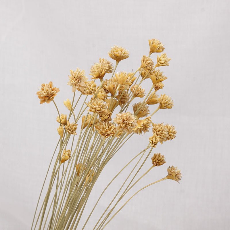 25 piece small wild dried flowers bouquet simple art Ins style decorative flowers home decoration flower arrangement