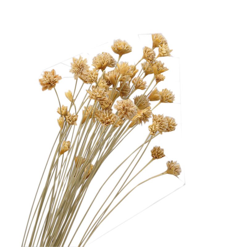 25 piece small wild dried flowers bouquet simple art Ins style decorative flowers home decoration flower arrangement