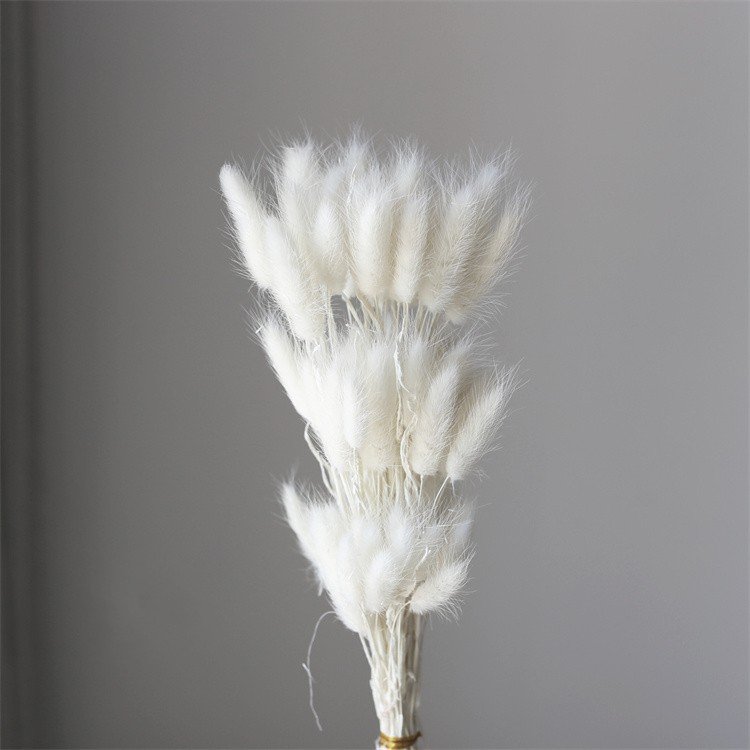 Home Wedding Decoration Natural Preserved Fresh Flower Grass Dried Flowers