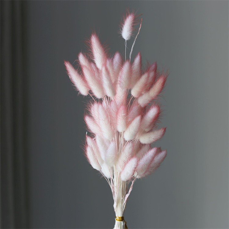 Home Wedding Decoration Natural Preserved Fresh Flower Grass Dried Flowers
