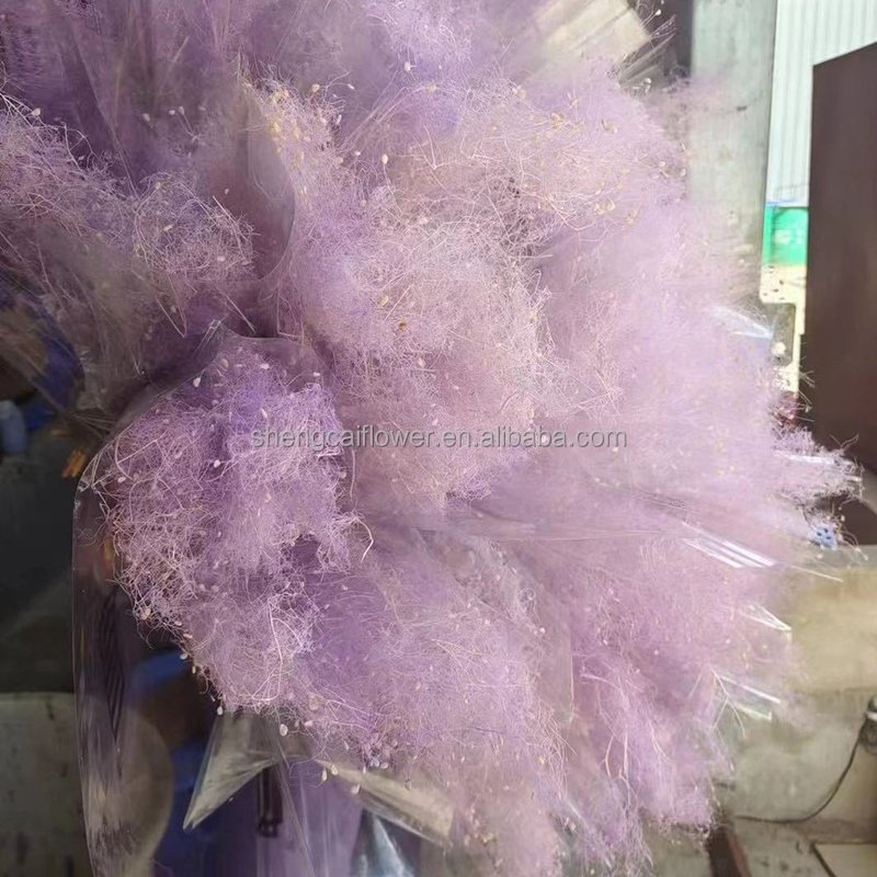 Dried Cotinus Coggygria Scop Misty lover tree Flowers Foggy Lover Flower Wedding Party Decoration DIY Craft