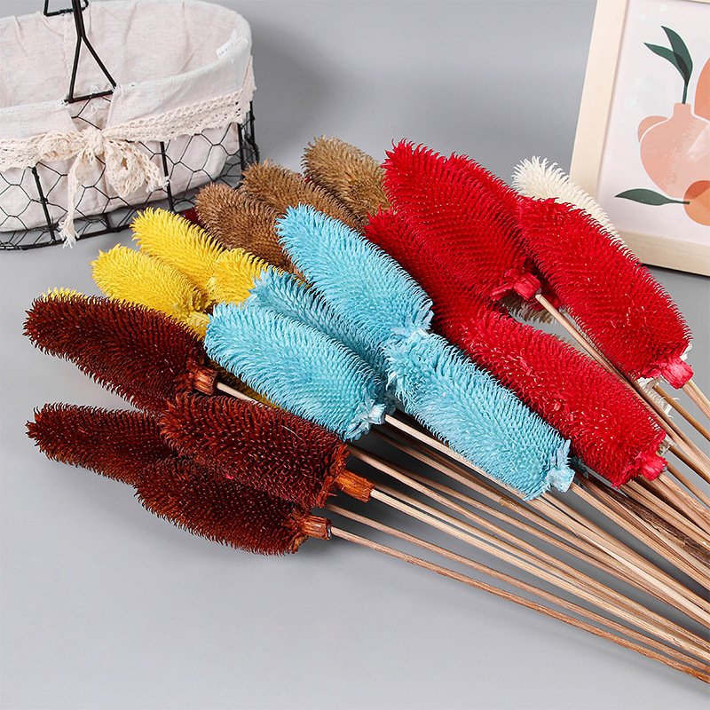 Wholesale Preserved Flowers & Plants Dried Dipsacus Sativus Flowers for Home & Wedding Decoration