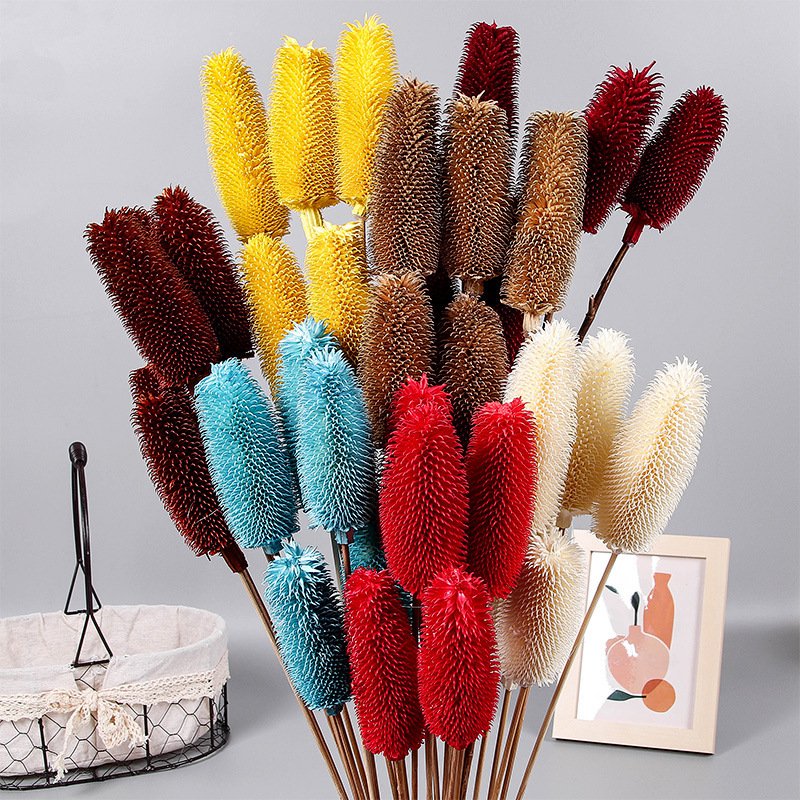 Wholesale Preserved Flowers & Plants Dried Dipsacus Sativus Flowers for Home & Wedding Decoration