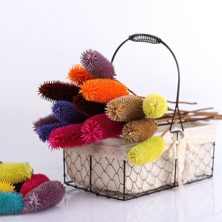 Wholesale Preserved Flowers & Plants Dried Dipsacus Sativus Flowers for Home & Wedding Decoration