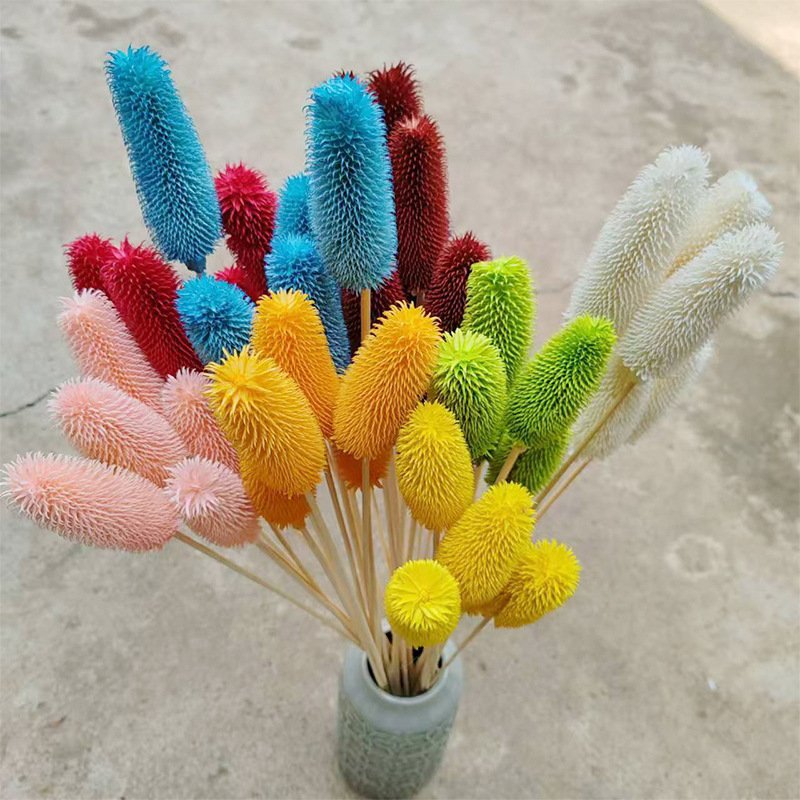 Wholesale Preserved Flowers & Plants Dried Dipsacus Sativus Flowers for Home & Wedding Decoration