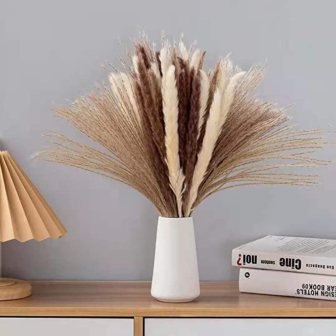 Fluffy pampas Bohemian style Perfect Wedding Home Decor Dried flower Natural Dried small Pampas Grass