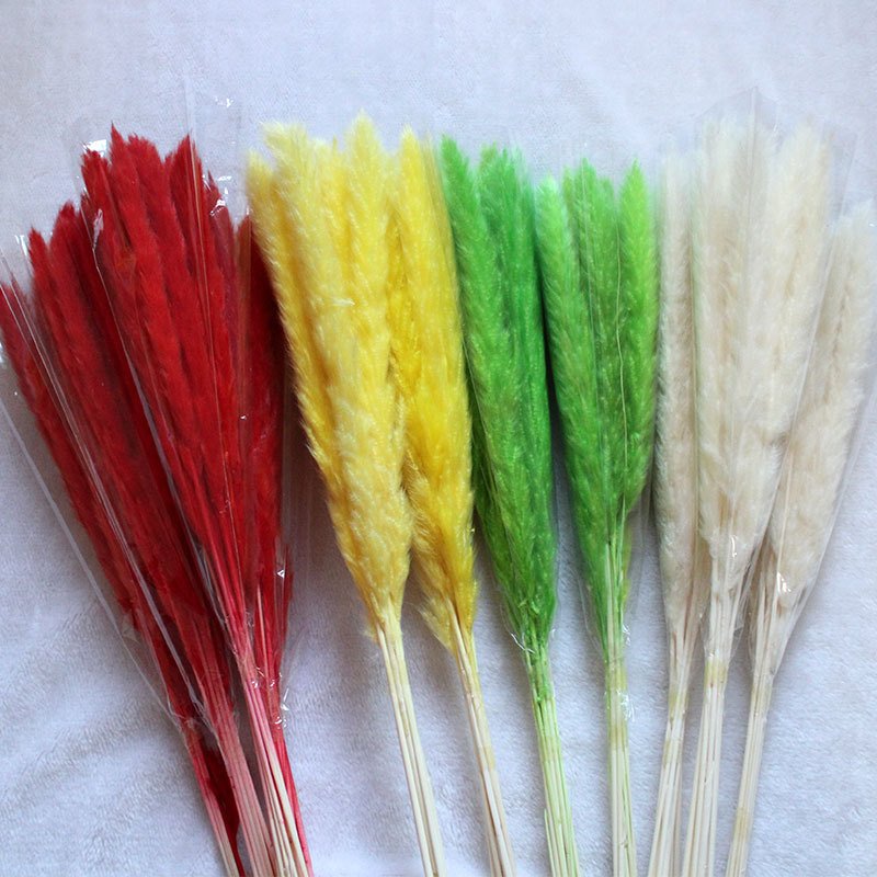 Fluffy pampas Bohemian style Perfect Wedding Home Decor Dried flower Natural Dried small Pampas Grass