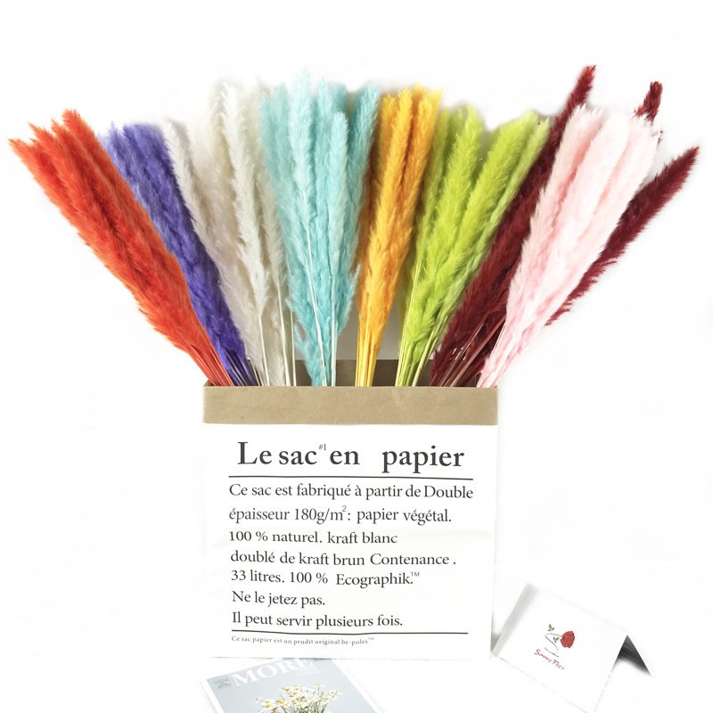 Fluffy pampas Bohemian style Perfect Wedding Home Decor Dried flower Natural Dried small Pampas Grass