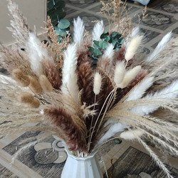 65PCS