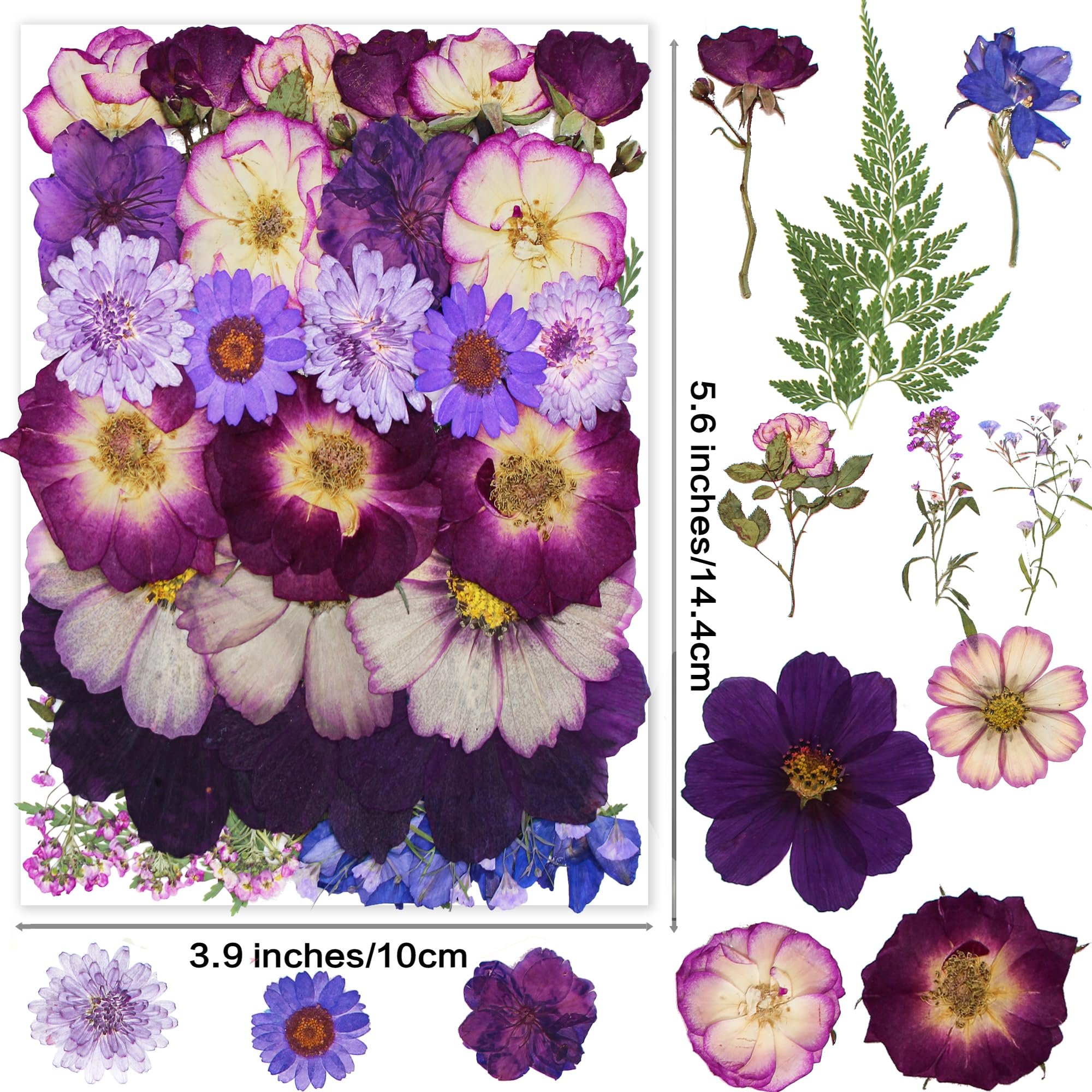 Pressed Flowers for Resin Mold Real Daisy Dried Flower Leaves Natural Scrapbooking DIY Candle Accessories Jewelry Crafts Making