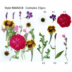 JH-NMA018