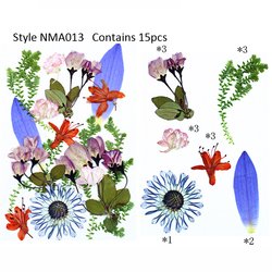 JH-NMA013