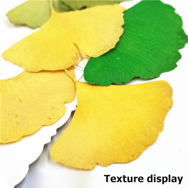 Ginkgo Leaf With Branch Flower Bookmark Real Leaf Real Flower Leaf Stickers