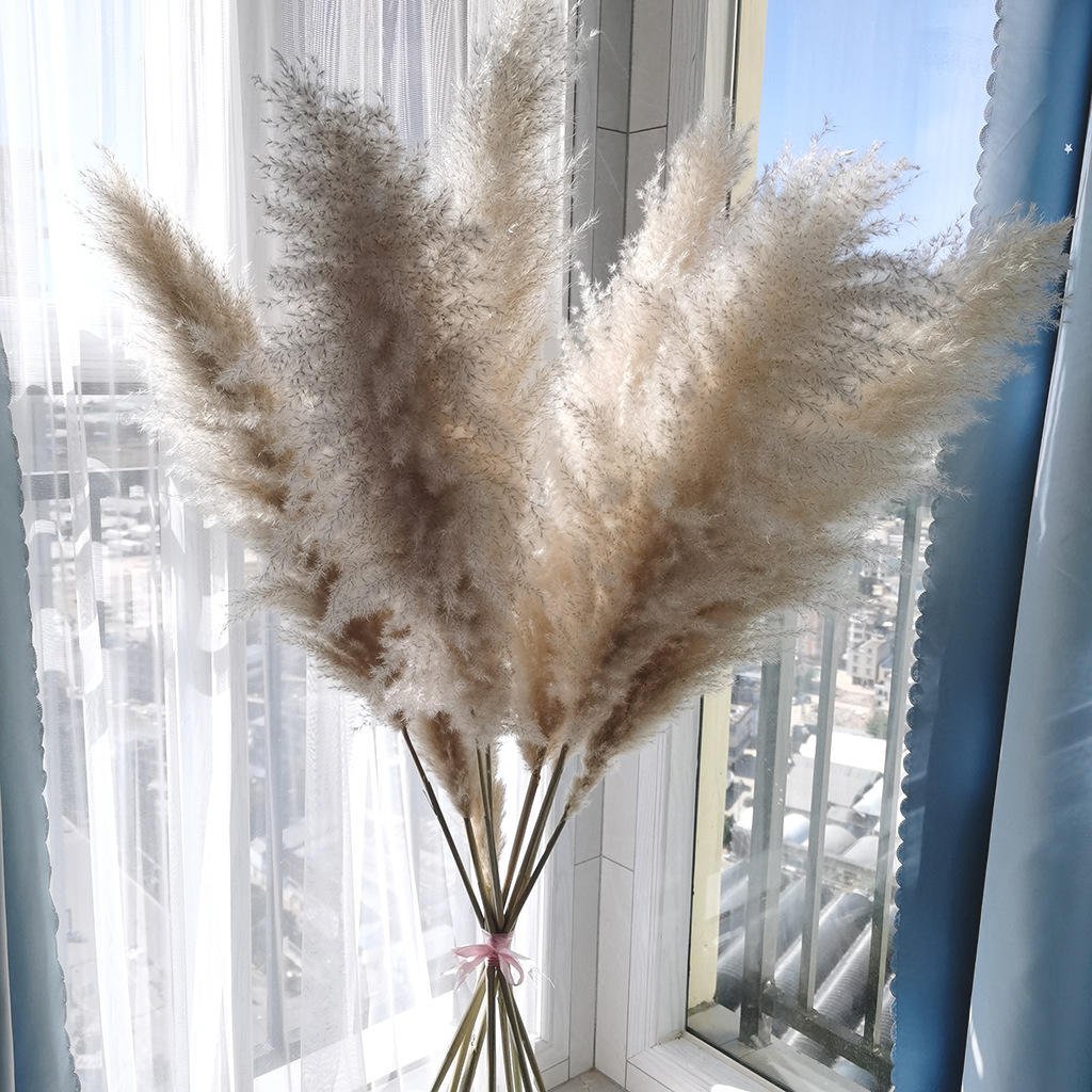 Dried Flower Bunch Fluffy Pampas Grass Reed Flower Festival Christmas Ornaments Wedding Pampas bundle Real Natural Pampas