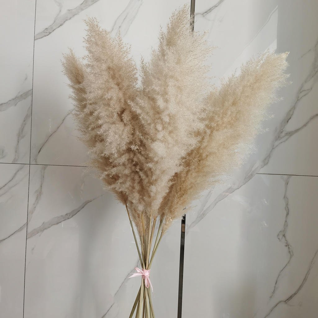 Dried Flower Bunch Fluffy Pampas Grass Reed Flower Festival Christmas Ornaments Wedding Pampas bundle Real Natural Pampas