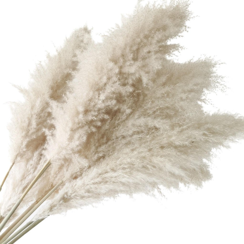 Dried Flower Bunch Fluffy Pampas Grass Reed Flower Festival Christmas Ornaments Wedding Pampas bundle Real Natural Pampas