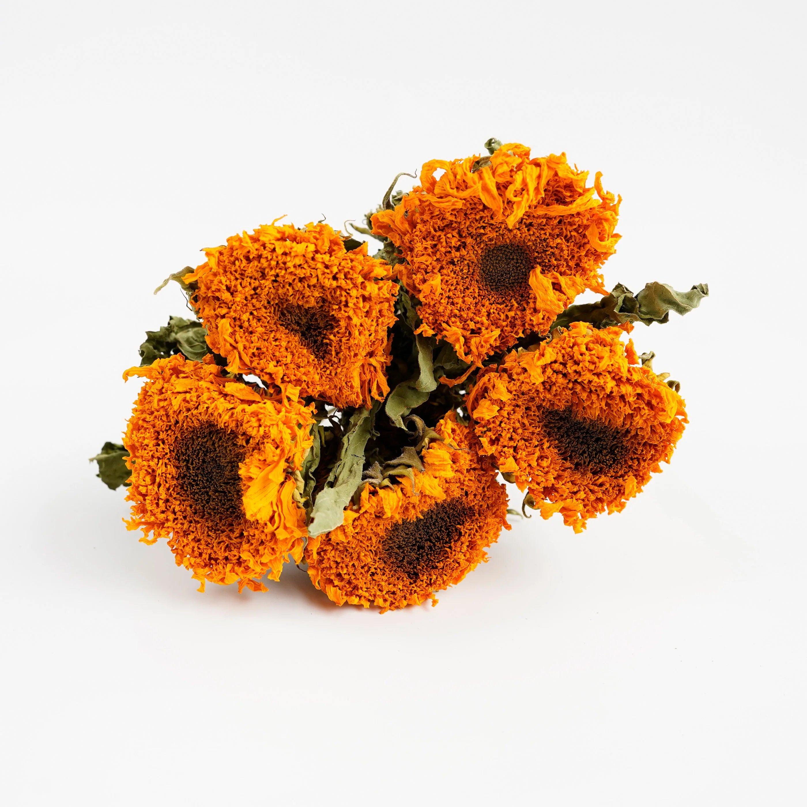 Natural sunflowers Dried Sunflowers with Stem Real Dried Sunflower Plants For Home Party Wedding Decoration