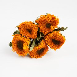 Orange-Yellow