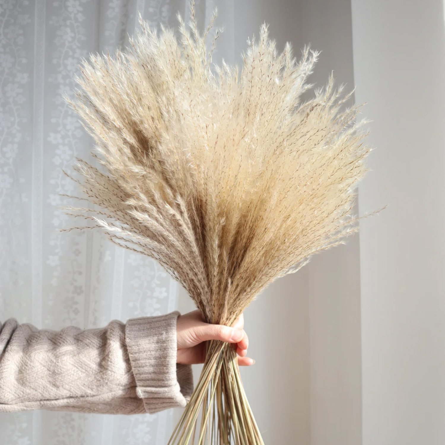 Reed Dried Decorative Pampas Grass Vase Grass Flower Dried Reed