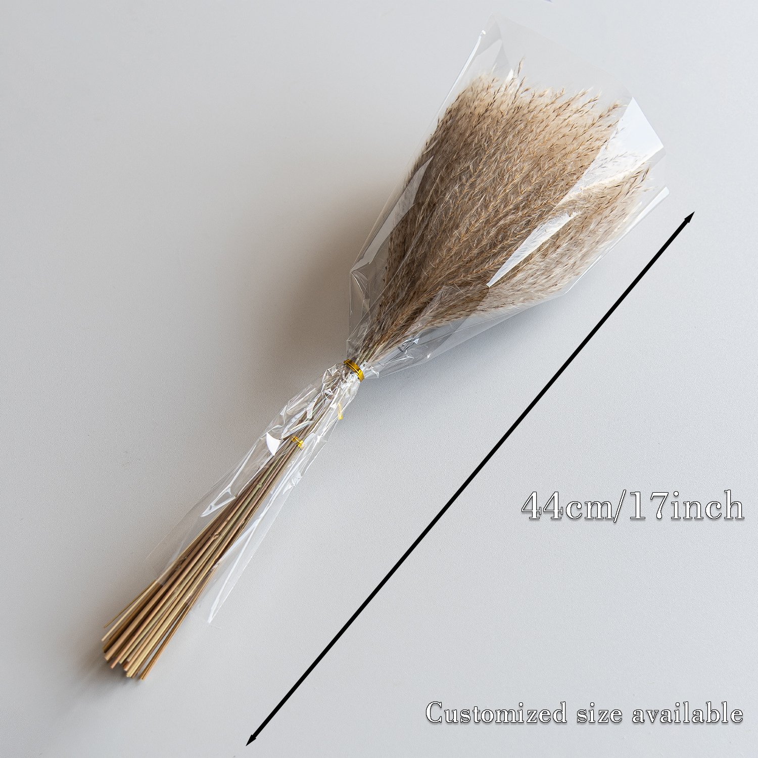 Reed Dried Decorative Pampas Grass Vase Grass Flower Dried Reed